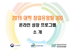 2016 대학 창업유망팀 300 - 창업교육 정보시스템