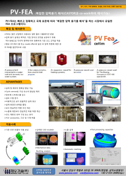 PV-FEA :복잡한 압력용기 해석(CASTOR과 co