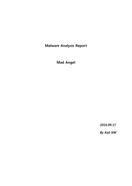 Malware Analysis Report Mad Angel