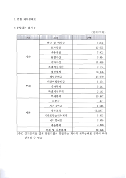 회사분할결정(첨부_100630)