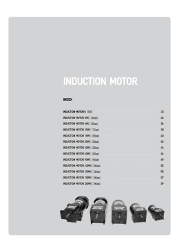 INDUCTION MOTOR