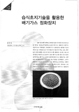 Page 1 김태권 동 연구로 습식초지기술`을 응용한 배기가스 정화장치