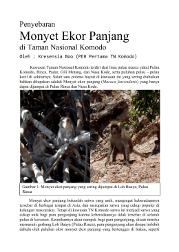 Distribution of Long-tailed macaques in Komodo - komodo