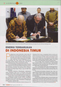 Energi-Terbarukan-Di-Indonesia-Timur-13