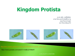 Kingdom Protista - สาขา วิชา เทคโนโลยี ชีวภาพ