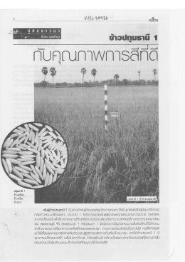 Page 1 . [TUÍTYYVA/OTS6f ] U F Wนธุ์ข้าวปทุมธานี 1 เป็นข้าวเจ้าWนธุ์
