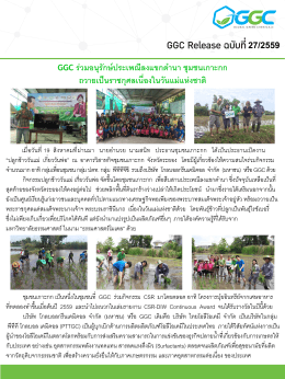 GGC ร่วมอนุรักษ์ประเพณีลงแขกดำนา ชุมชนเกาะกก ถวายเป็นพระราชกุศล