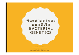 พันธุศาสตร์ของ แบคทีเรีย BACTERIAL GENETICS
