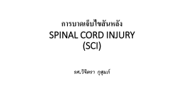 การบาดเจ็บไขสันหลัง SPINAL CORD INJURY