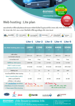 Lite web hosting plan