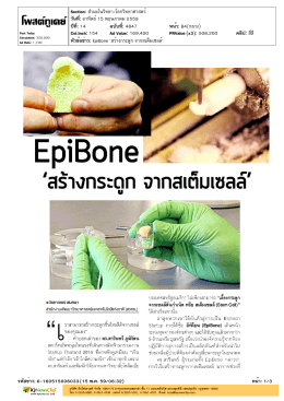 EpiBone `สร้าง กระดูก จาก ส เต็ม เซลล์`