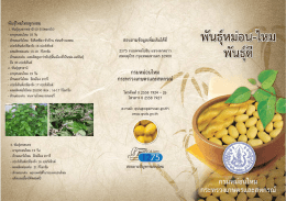 พันธุ์หม่อน ไหม พันธุ์ดี