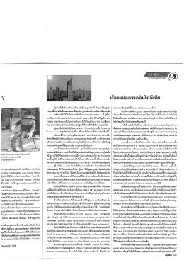 เรื่องแปลกจากอินโดนีเซีย