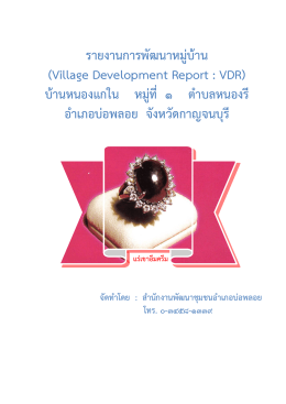 รายงานการพัฒนาหมู่บ้าน (Village Development Report : VDR) บ้านหนอง