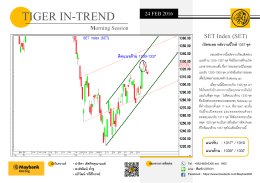 tiger in-trend - ThaiQuest Stock