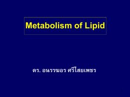 metabilism of lipid_325