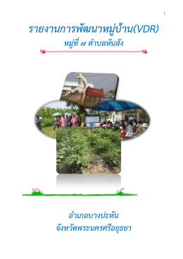 รายงานการพัฒนาหมู่บ้าน(VDR)