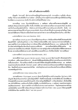 ปลา กระดี่