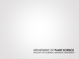 DEPARTMENT OF PLANT SCIENCE