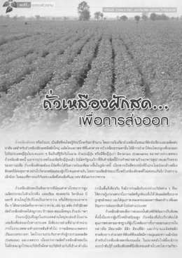 ถั่วเหลืองฝักสด...เพื่อการส่งออก