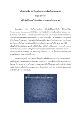 ไมโครสปอริเดีย EHP ปัญหาใหม่ของการเลี้ยงกุ้งทะเลของไทย?