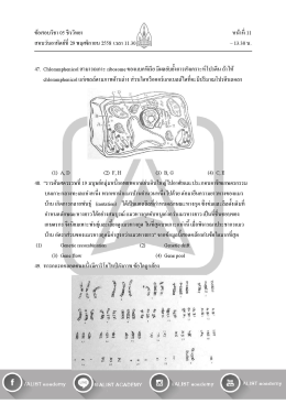 Convert JPG to PDF online - convert-jpg-to-pdf.net