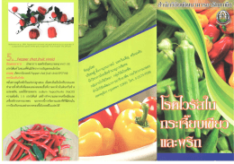 ดาวน์โหลด