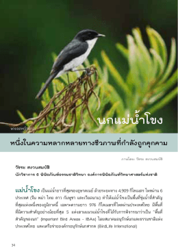 นกแม่น้ำโขง - มูลนิธิฟื้นฟูชีวิตและธรรมชาติ