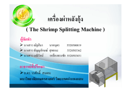 ่เครื่องผ่าหลังกุ้ง ( The Shrimp Splitting Machine )