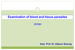 Examination of blood and tissue parasites