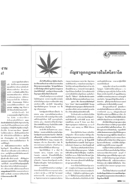 กัญชาถูกกฎหมายในโคโลราโด