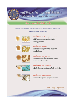 พัฒนาการของไข่ และตัวอ่อนปลานิล