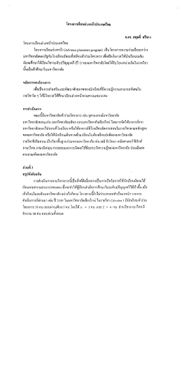 โครงการเรียนล่วงหน้าป่ระเทศไทย