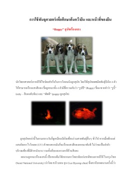 การใช้พันธุศาสตร์เพื่อศึกษาค้นคว้ายีน และหน้าที่ของยีน “Ruppy” สุนัขเรืองแสง