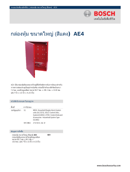 กล่องหุ้ม ขนาดใหญ่ (สีแดง) AE4