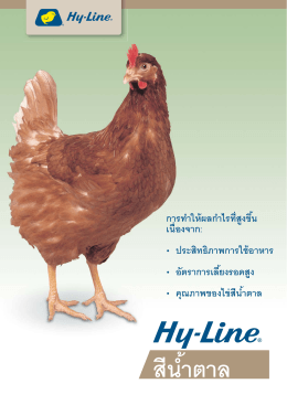 สีนํ้าตาล - Hy-Line International