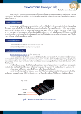 สายพานลำเลียง (conveyor belt) - ศูนย์วิจัยและพัฒนาอุตสาหกรรมยางไทย
