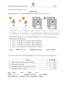 ดังไฟล์แนบ - ส พ ป.ตรัง เขต 1