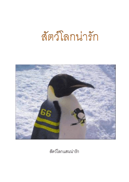 สัตว์โลกแสนน่ารัก