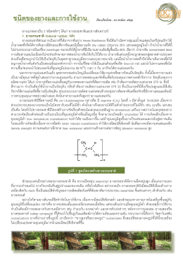 ชนิดของยางและการใช้งาน - ศูนย์วิจัยและพัฒนาอุตสาหกรรมยางไทย