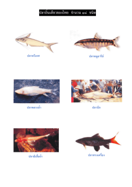 ปลาถิ่นเดียวของไทย จํานวน ๑๘ ชนิด