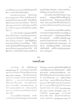 กระดาษไวแสง