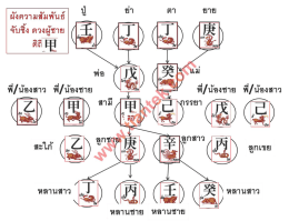 ฟ็/น้องชาย ฟ็/น้องสาว