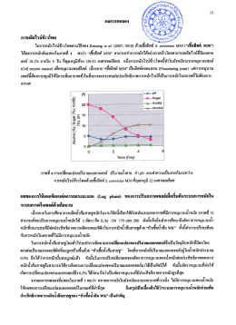การผลิตไวน์ข้าวโพด