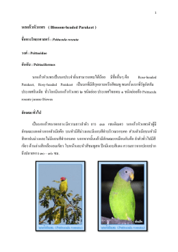 นกแก้วหัวแพร - กรมอุทยานแห่งชาติ สัตว์ป่า และพันธุ์พืช