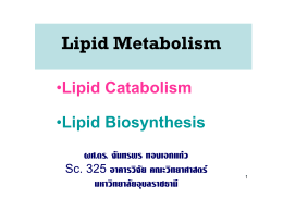 Lipid Metabolism - มหาวิทยาลัยอุบลราชธานี