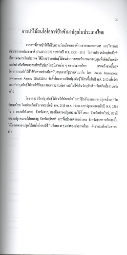 การนำไม้สนโอโอคาร์ป้าเข้ามาปลูกในประเทศไทย