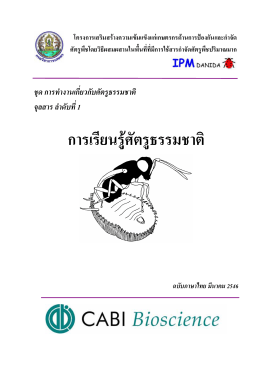 การเรียนรู  ศัตรูธรรมชาติ - Integrated Pest Management in Thailand