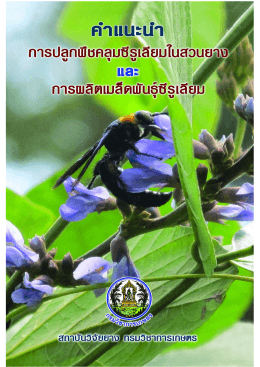การปลูกพืช - สถาบันวิจัยยาง การยางแห่งประเทศไทย