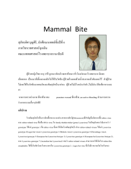 Mammal Bite - ERrama.com